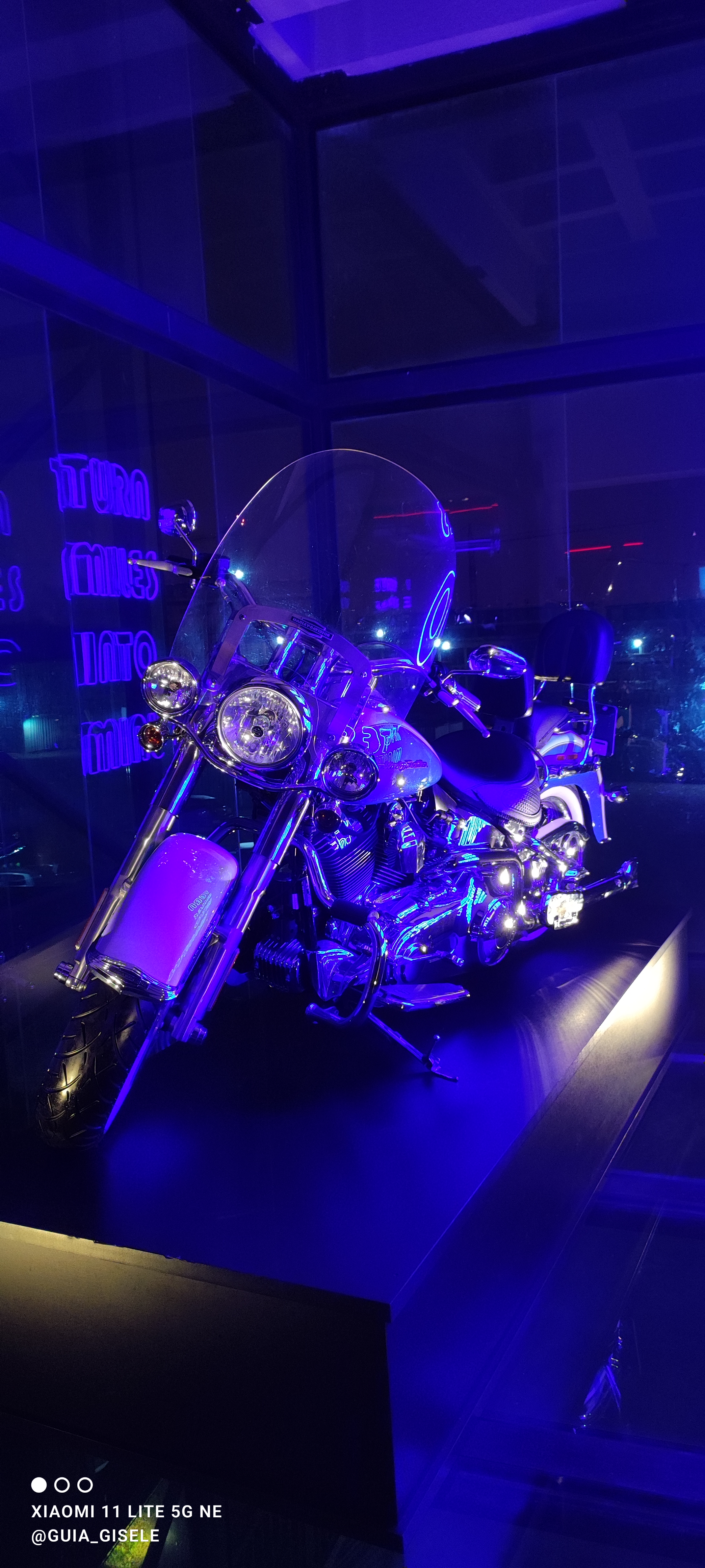 Passaporte 5 Atrações Dreams Park Show