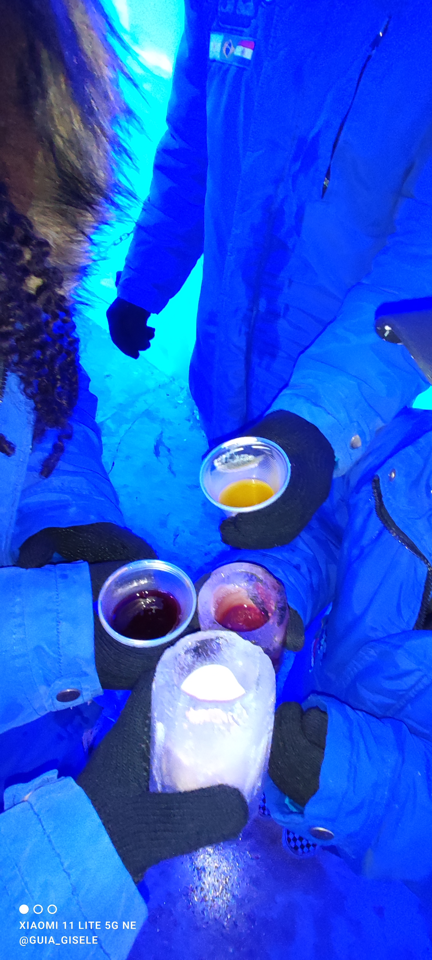 Passaporte 5 Atrações Dreams Park Show 3