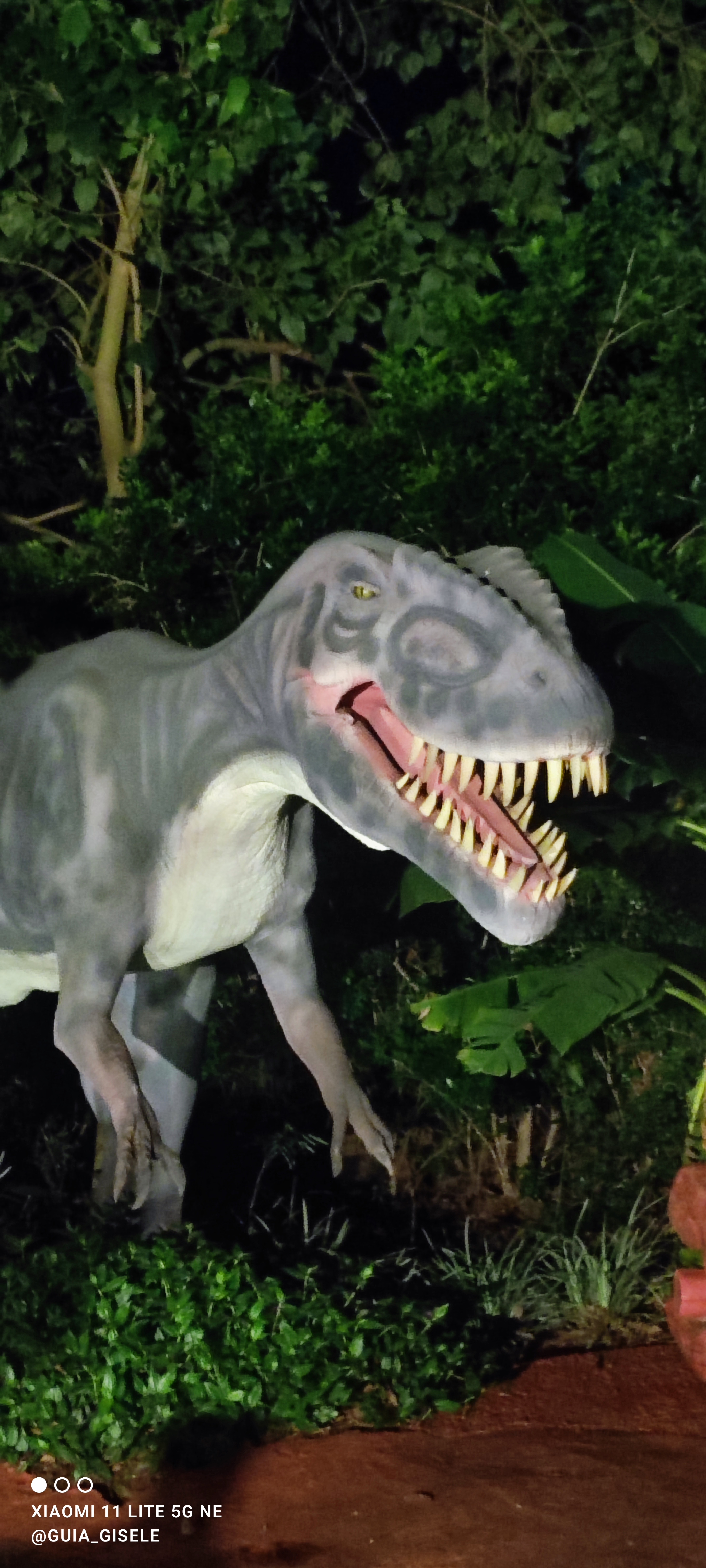 Passaporte 5 Atrações Dreams Park Show 4