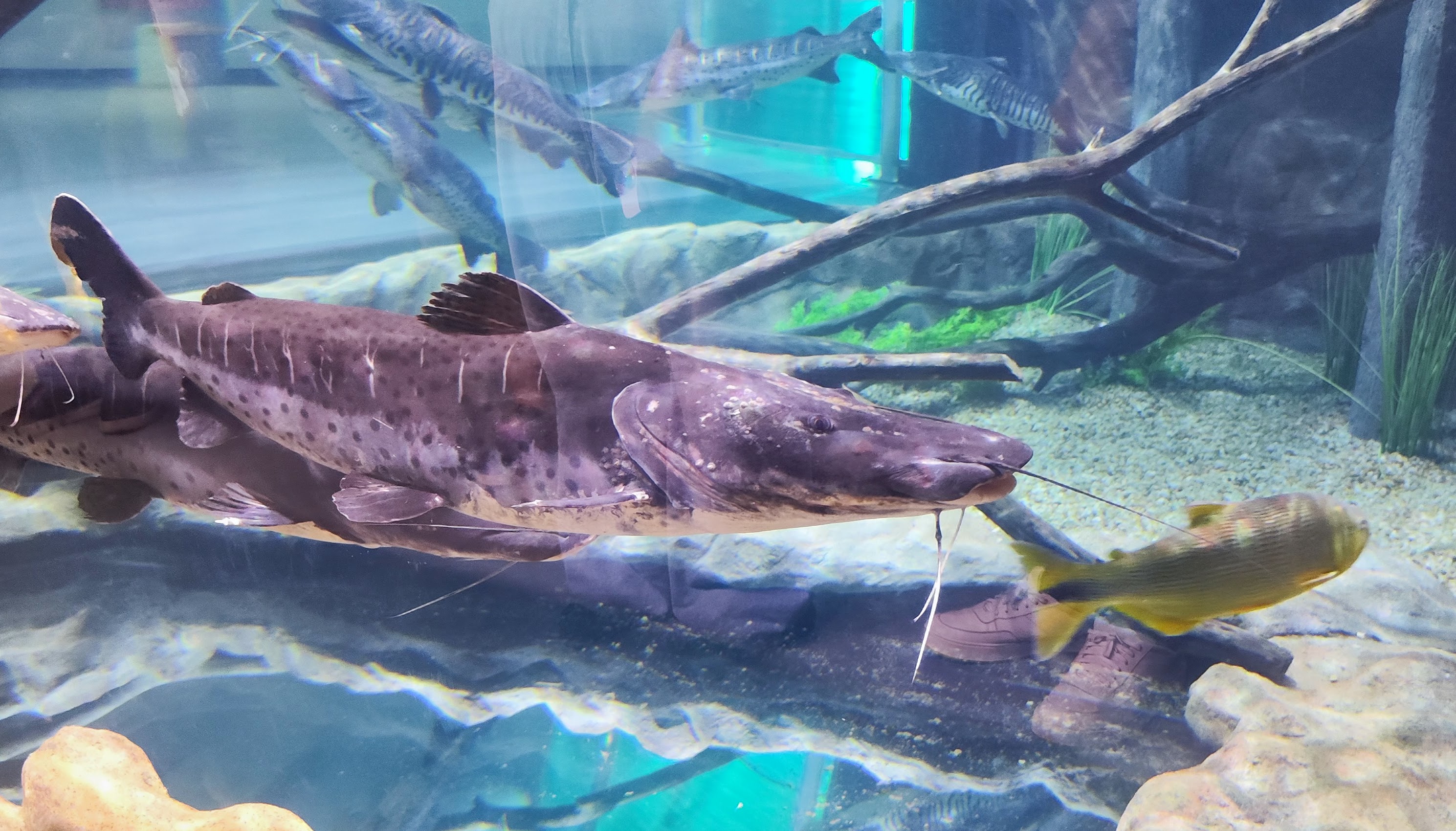 Entardecer nas Cataratas Full Day 2