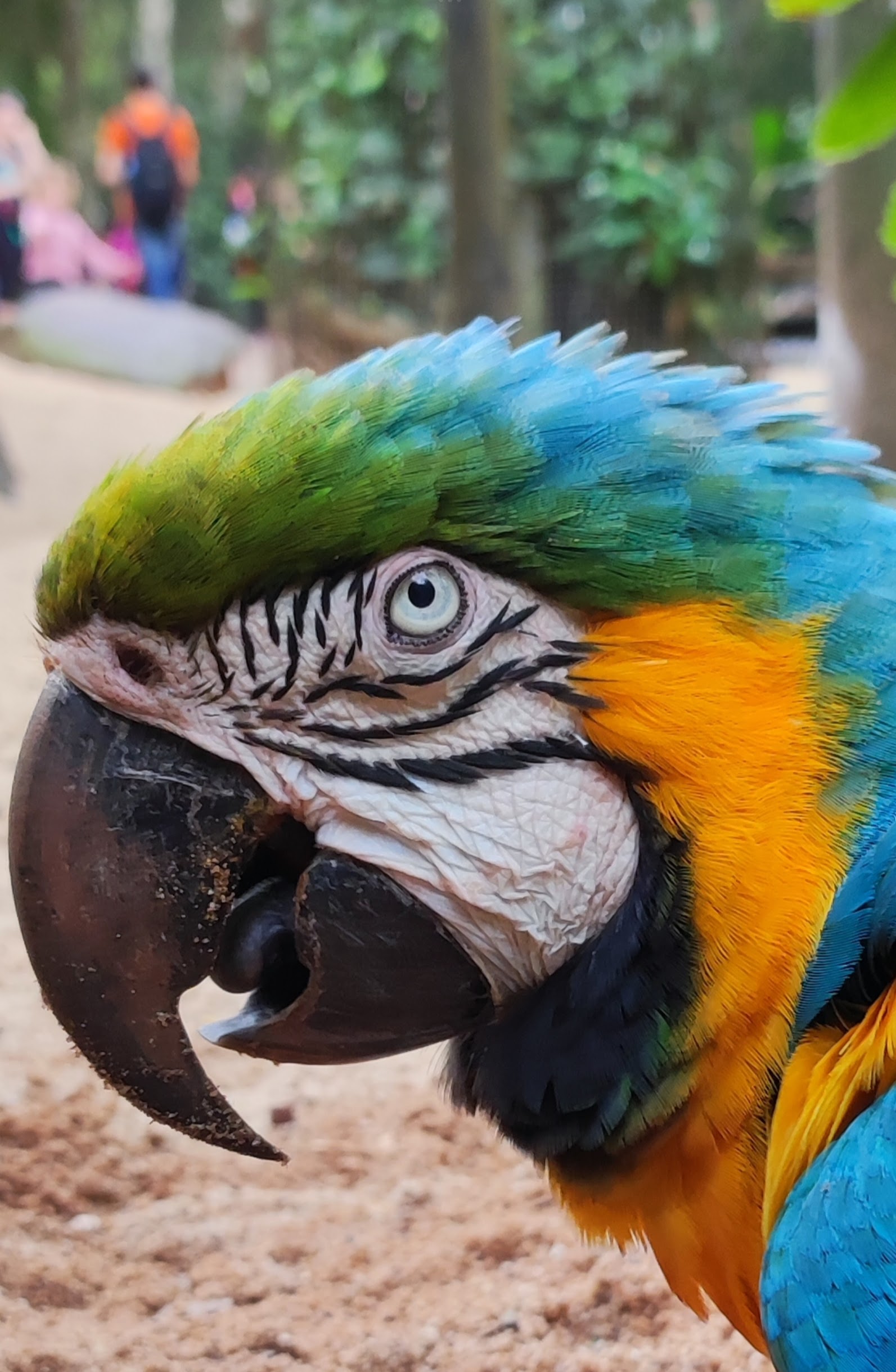 Entardecer nas Cataratas Full Day 3