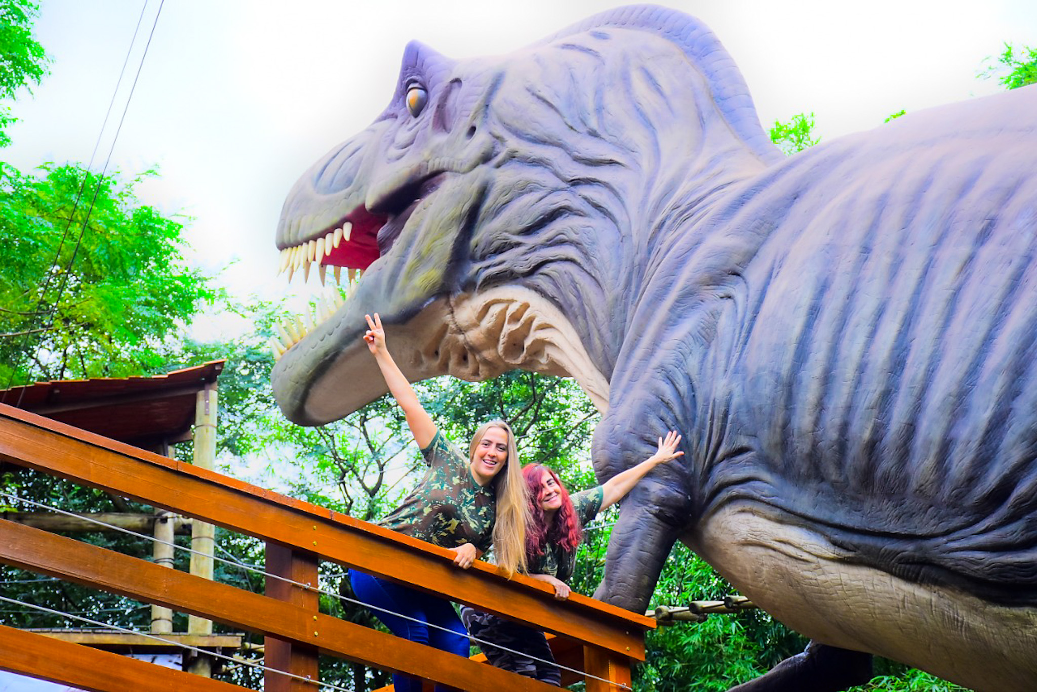 Combo 6 Atrações Dreams Park Show 4