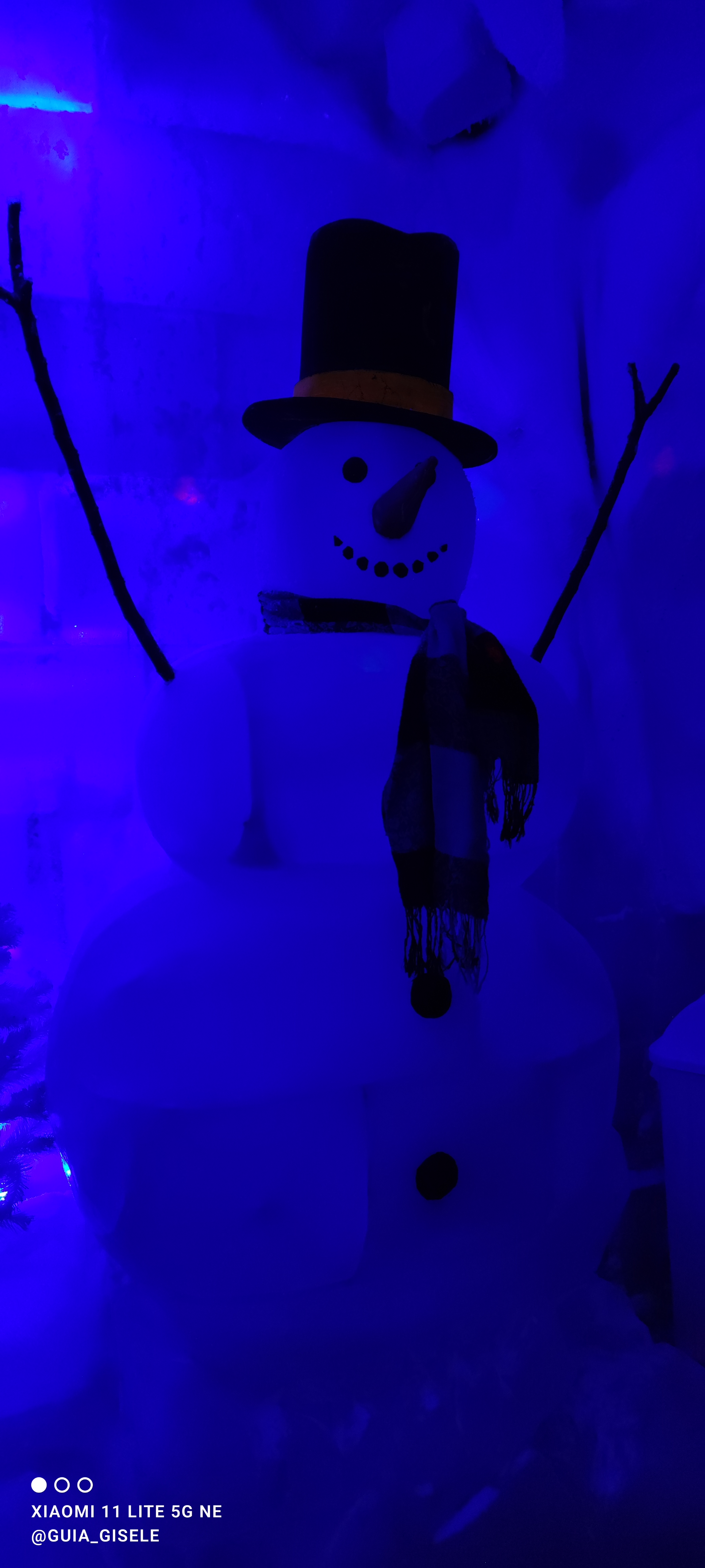 Combo 6 Atrações Dreams Park Show 5