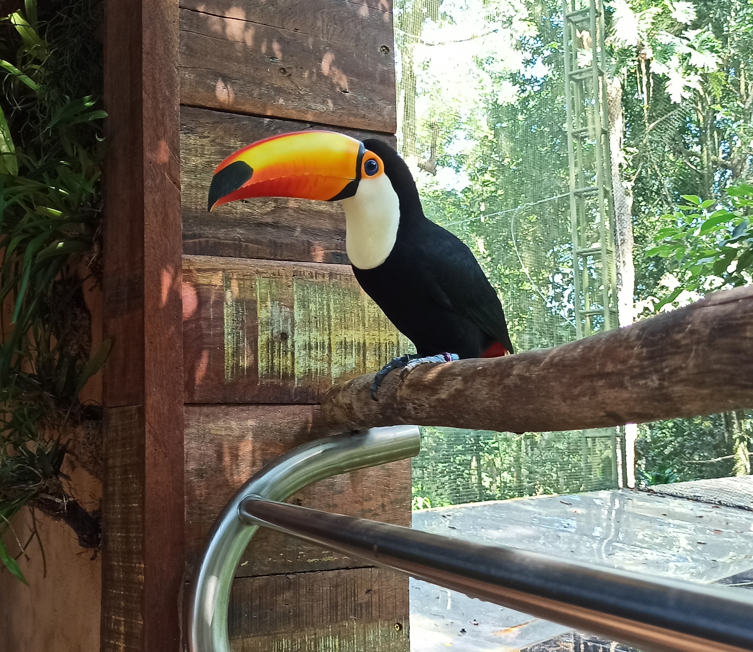 Cataratas com Imersão e Aventura 3