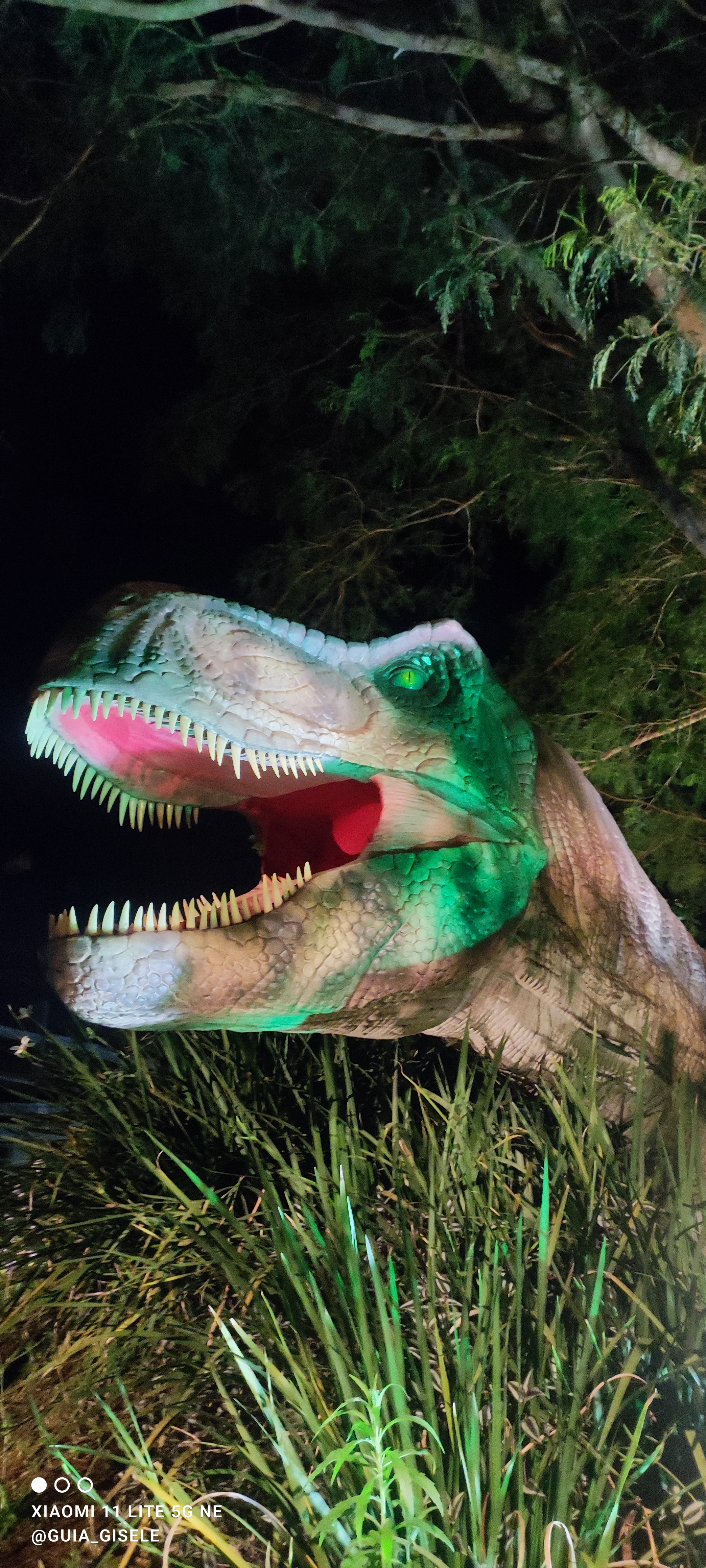 Dreams Park Show - Combo 6 Atrações